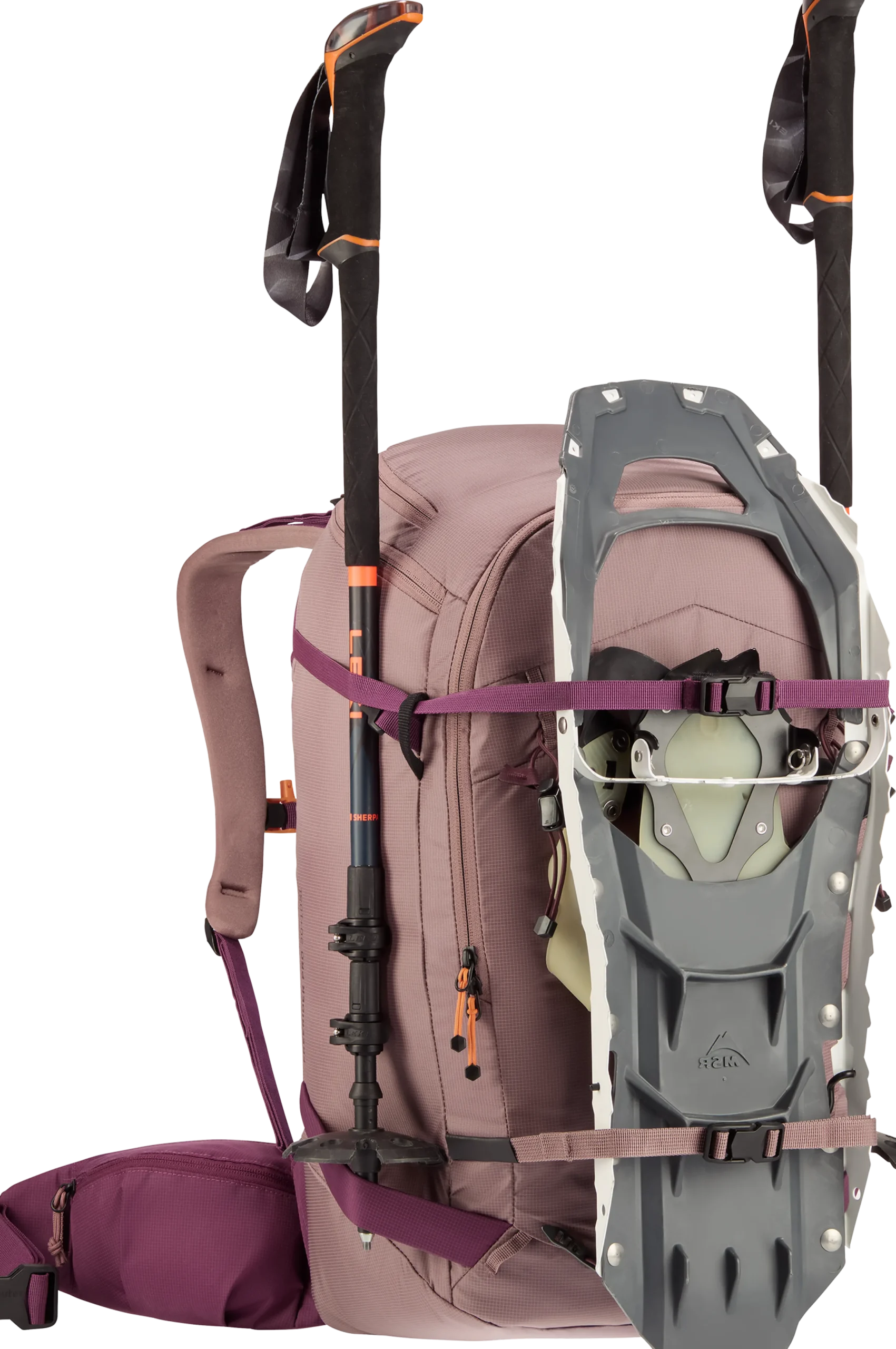 Freerider Pro 30+10 SL