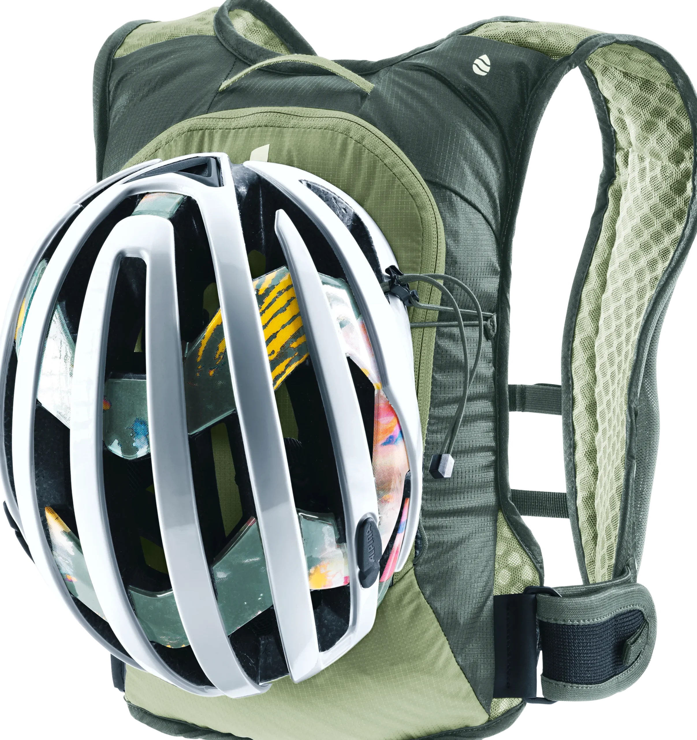 Rogla 5