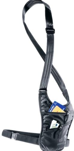 Security Holster