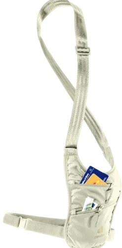 Security Holster