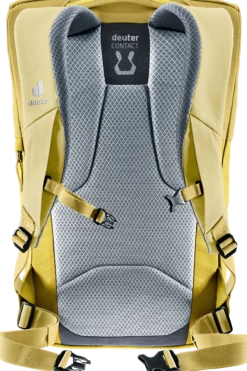 UP Sydney